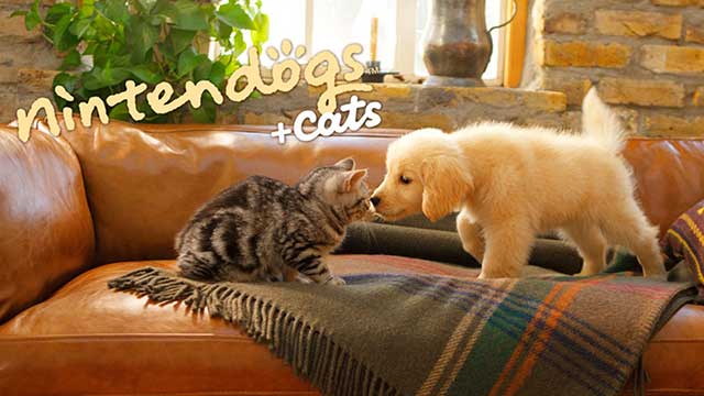 nintendogs + cats