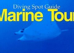 Marine Tour